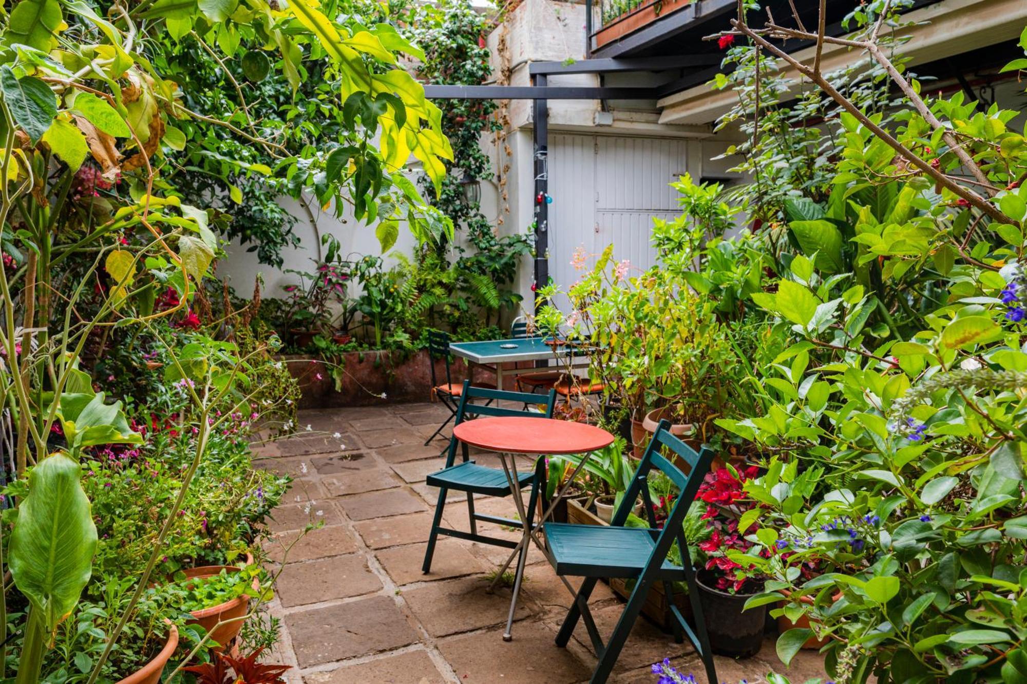 La Asomada Del Gato Guest House ลาลากูนา ภายนอก รูปภาพ