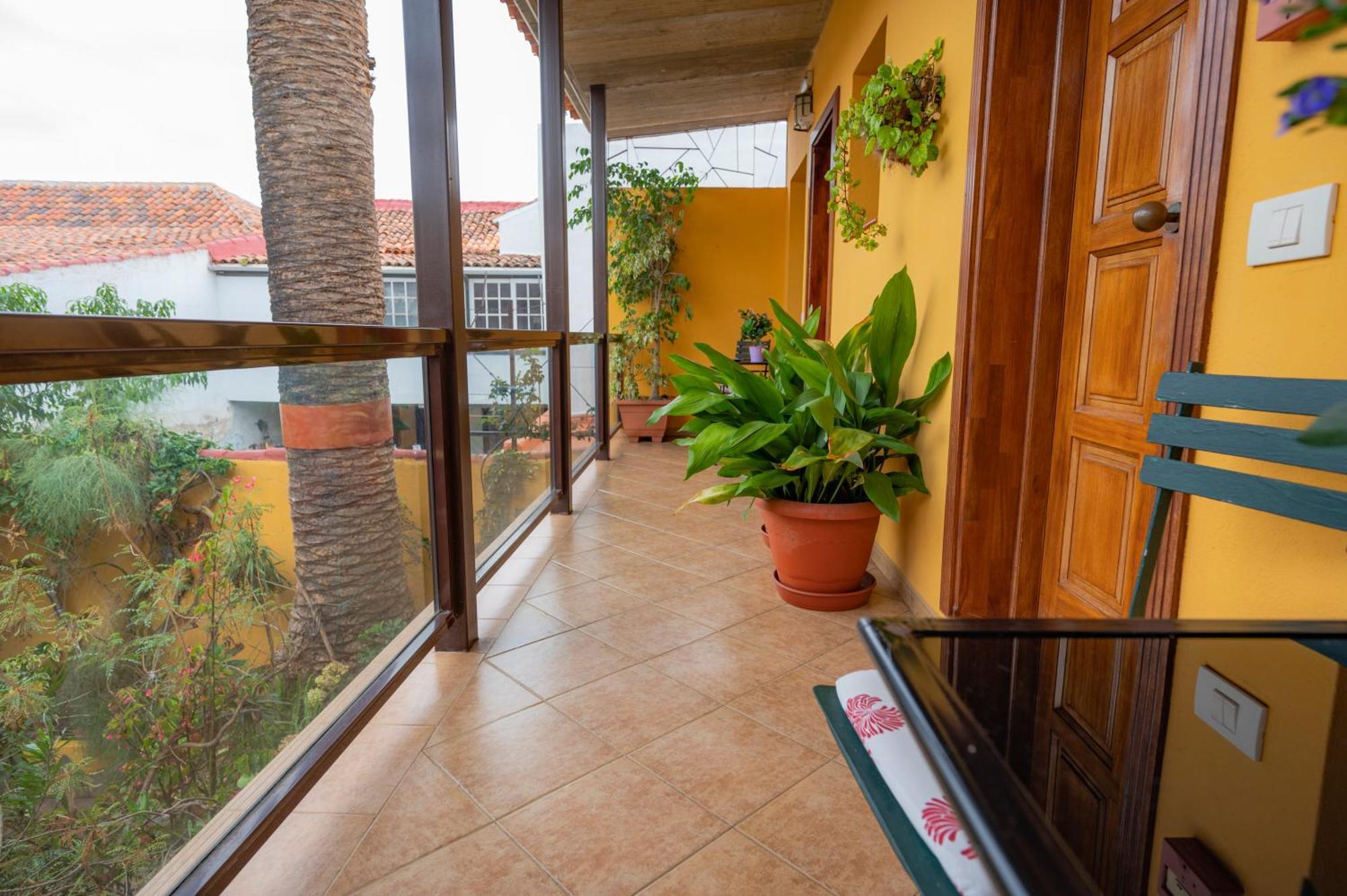 La Asomada Del Gato Guest House ลาลากูนา ภายนอก รูปภาพ